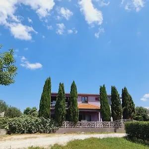 Nika , Bibinje Chorwacja